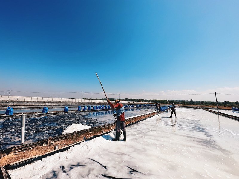 Produk garam Elitestar Primajaya